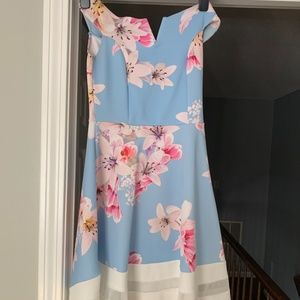 Quiz Fit and Flare Tea-Length Dress